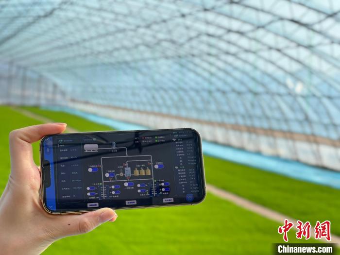 万象“耕”新又一春 中国“新农人”两会聚焦“慧”种地